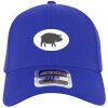 OTTO CAP® OTTO FLEX® Fitted 6 Panel Low Profile Baseball Cap Thumbnail